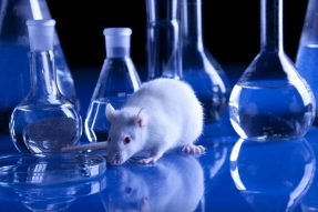mRNA-1273疫苗通过了动物安全性测试