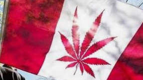 幸福来与大麻公司卡纳巴签订非约束性意向书