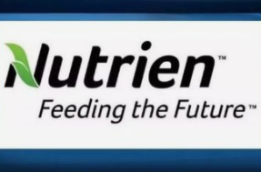 全球化肥巨头Nutrien计划投入20亿美元建造清洁氨厂