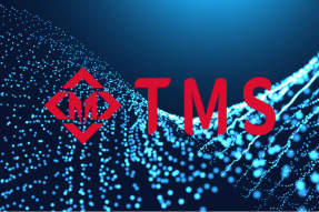 TMS（托马斯）数字化交易所：引流Web3新时尚